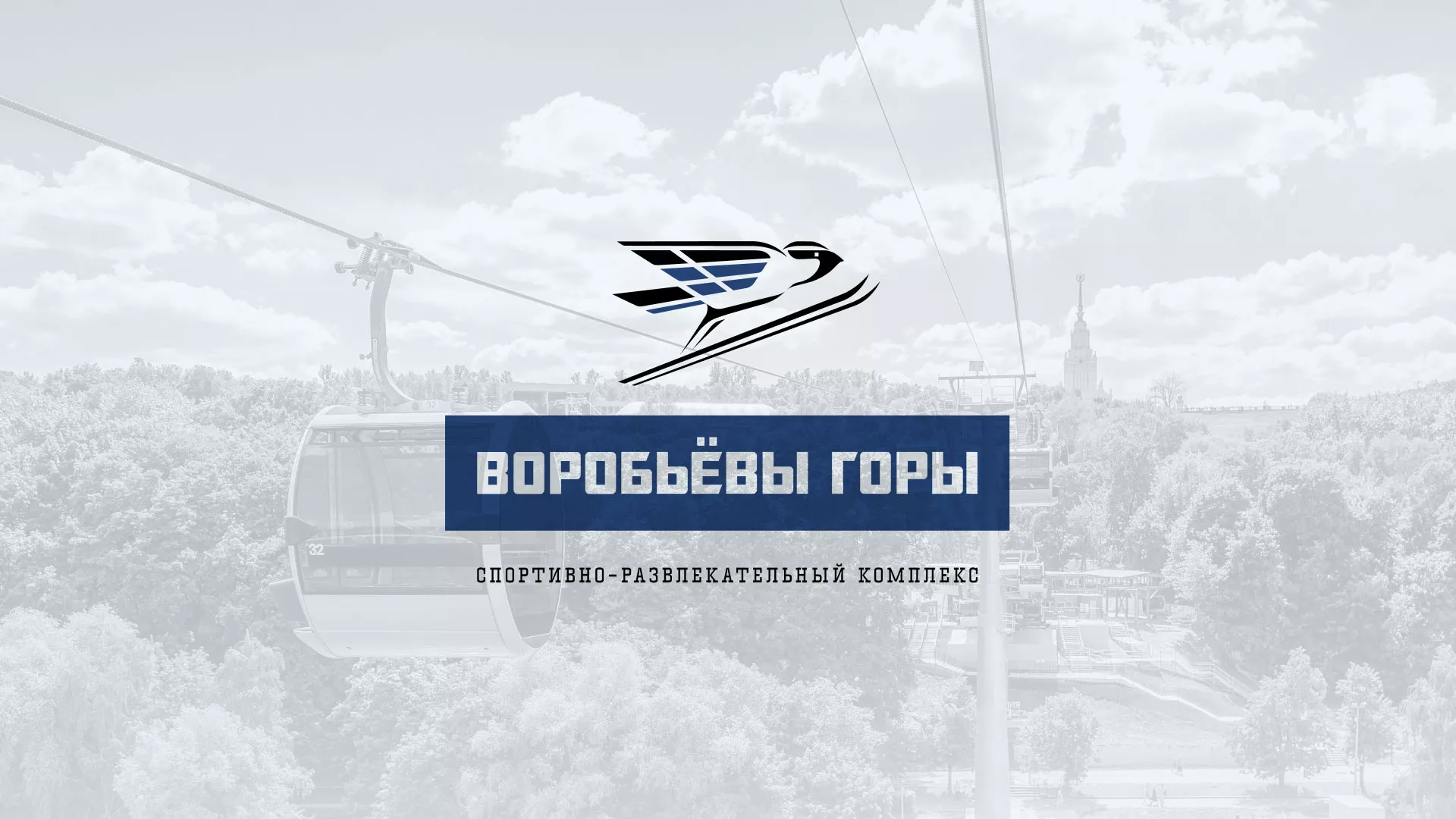 Разработка сайта в Владимире для спортивно-развлекательного комплекса «Воробьёвы горы»