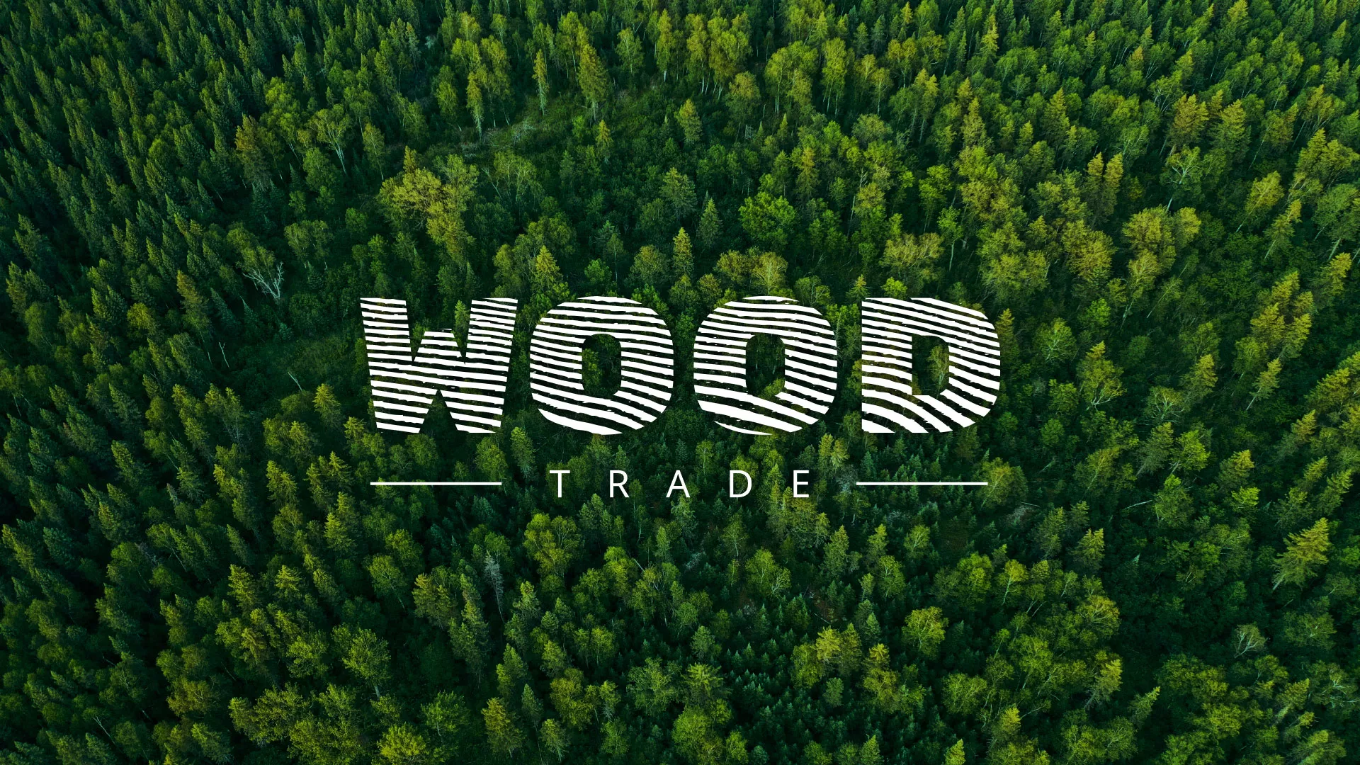 Разработка интернет-магазина компании «Wood Trade» в Владимире