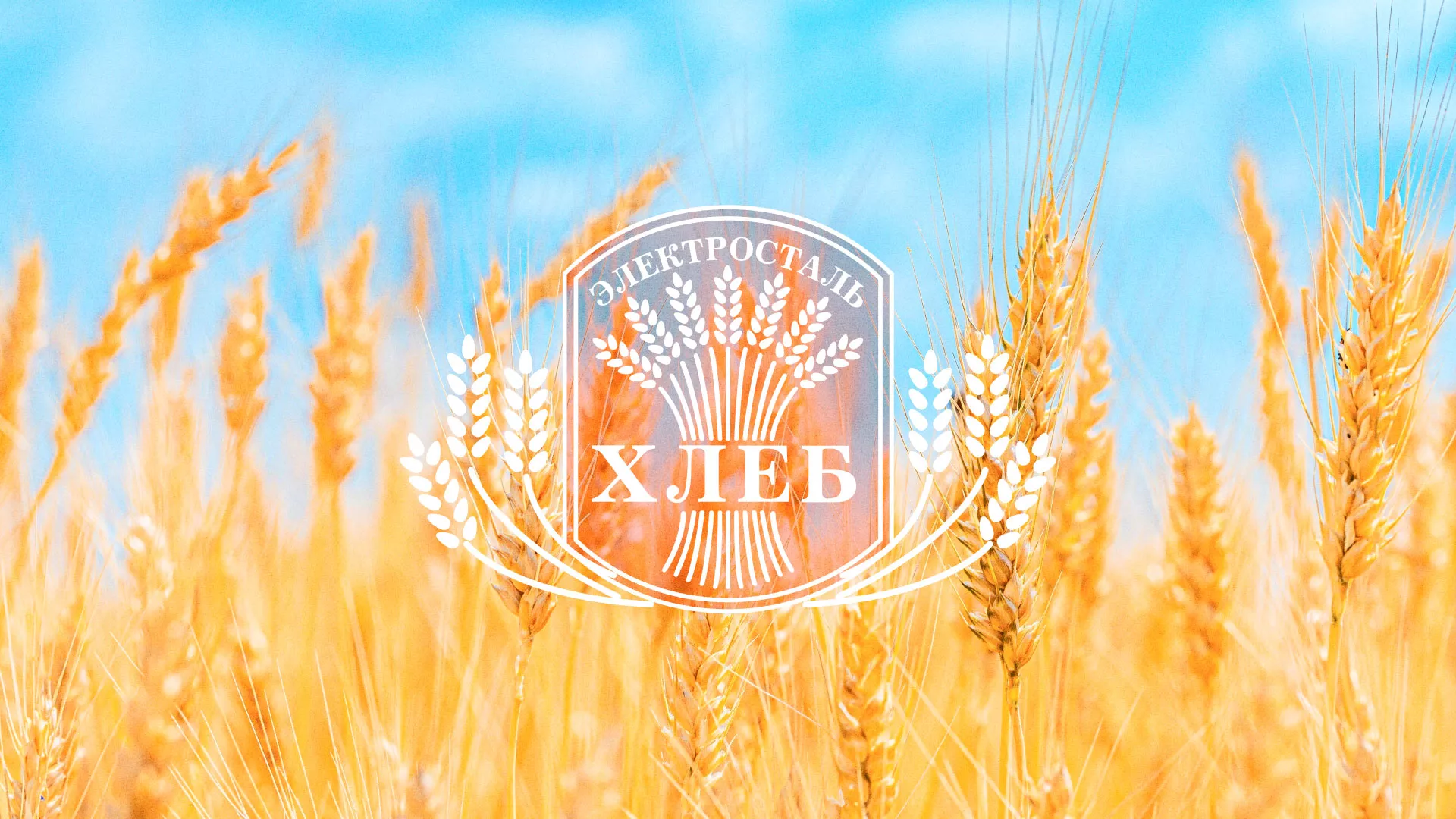 Создание сайта для хлебзавода в Владимире