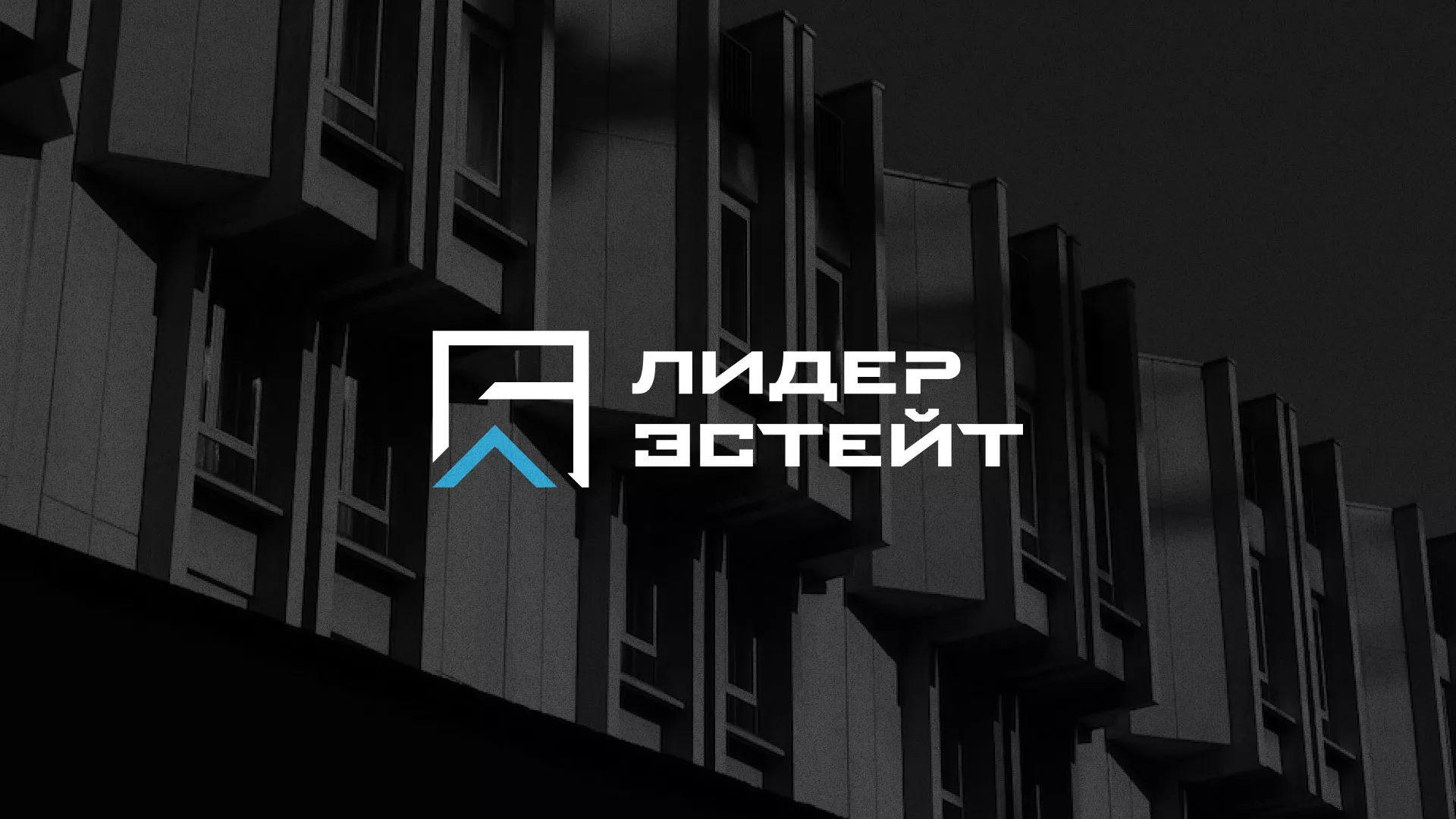 Разработка логотипа агентства недвижимости «Лидер Эстейт» в Владимире