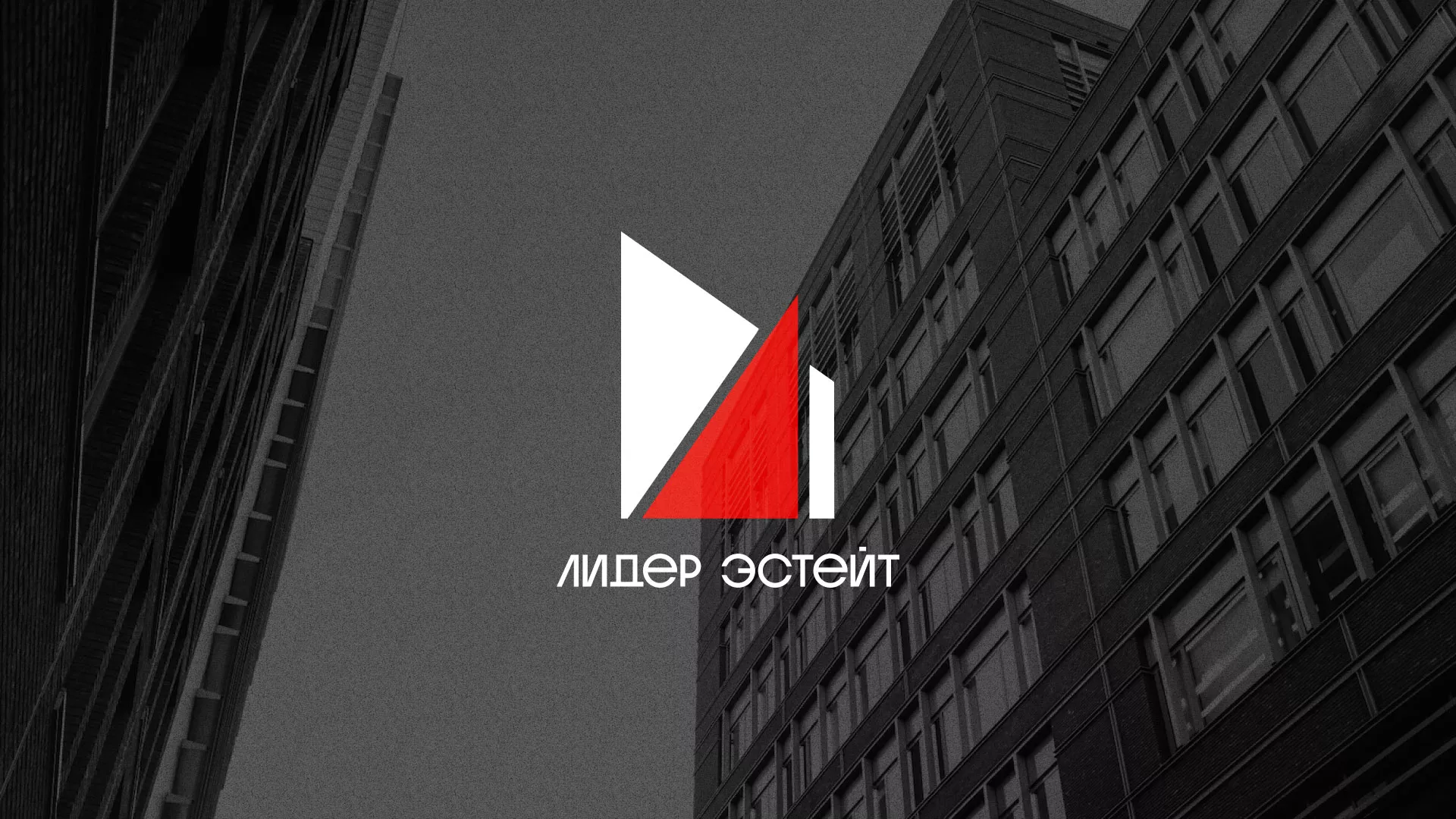 Сделали логотип для агентства недвижимости «Лидер Эстейт» в Владимире